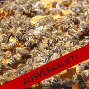 AUSVERKAUFT